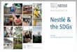 Nestlé & the SDGs - icc-switzerland.ch · Nestlé & the SDGs Operations 161,000 436 factories in 85 countries direct suppliers 3.5 million purchases per year In over 100 countries