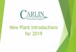 New Plant Introductions for 2019 - carlinsales.com days/new_varieties_for_2019.pdf · Geranium Interspecific Moxie!TM Moxie!TM Deep Rose Moxie!TM Pink Moxie!TM Scarlet Moxie!TM Deep