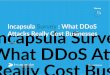 Incapsula Survey : What DDoS Attacks Really Cost ... - DDoS Impact... · Rey os ue Survey Incapsula Survey : ... an independent third party marketing research ... the numbers don’t