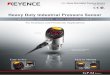 Heavy Duty Industrial Pressure Sensor - HyperCyl pressure switch... · Heavy Duty Industrial Pressure Sensor For Hydraulic and Pneumatic Applications STEP FLUSH DIAPHRAGM Standard