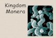 Kingdom Monera - stjosephcs.org · 2 BACTERIA Bacteria - small one celled monerans Bacteria like a warm, dark, and moist environment They are found almost everywhere: -water -air