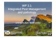 WP 2.1 Integrated Pest Management and pathology Pest... · Fighting pests the clever way…. Integrated Pest Management (IPM) takes a whole farm approach to managing the land which:-•