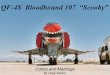 QF-4S Bloodhound 107 “Scooby” - F-4 Phantom · Phantom Bureau Number 153821 was the eighth F-4S to undergo conversion to the QF-4S target drone drone configuration. It. was selected