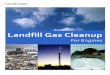 Landfill Gas Cleanup - Quadrogen · landfill gas cleanup. The apparent savings from purchasing a cheaper cleanup skid are quickly eroded with the lost revenue. To keep the engine