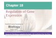 Regulation of Gene Expression - Parkway Schools Bio Fall 2012/18... · Regulation of gene expression trpE gene trpD gene trpC gene trpB gene trpA gene (b) Regulation of enzyme production
