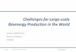 Challenges for Large-scale Bioenergy Production in the World · Challenges for Large-scale Bioenergy Production in the World ... $PPP 500 M –Fellowships • 2,500 SI, ... Horta