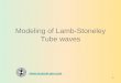 4 Modeling of Lamb-Stonely Tube waves - TESSERAL · waves propagating in the liquid. It is also possible to observe that the Lamb-Stoneley wave is dramatically attenuated outside