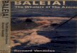 Baleia - acorestraditions2 - GENERAL INFORMATION · Baleia.P is shouted from house to house; within minutes the whaleboats are manned, launched and heading for the open sea. ... Caça