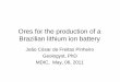 Ores for the production of a Brazilian lithium ion battery · Ores for the production of a Brazilian lithium ion battery João César de Freitas Pinheiro Geologyst, PhD MDIC, May,