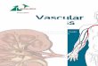 Vascular Access - EDTNA/ERCA · Vascular Access Cannulation and Care A Nursing Best Practice Guide for Arteriovenous Fistula This book is an initiative of Maria Teresa Parisotto (Director