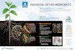 BIOLOGICAL ACTIVE INGREDIENTS - taurus.ag · Visit PTAGTIV.COM to learn more about the AGTIV ... Backed by more than 30 years of expertise in biological active ingredients, ... 100