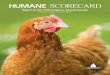 HUMANE SCORECARD - hslf.org · 1 2018 HUMANE SCORECARD, PREVIEW VERSION 2018 | HSLF.ORG How HSLF calculated scores Many animal protection issues never receive a recorded vote in Congress