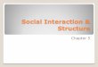 Social Interaction & Structure · Involves social interaction between two or more people ... Emile Durkheim discussed two types of societies based on the type of social solidarity
