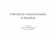 Infections nosocomiales à Bacillus - despedara.orgdespedara.org/cours_des/20100116_debillon_infection_bacillus.pdf · –Positivité de l’hémoculture à Bacillus Cereus –Positivité