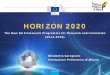02 Horizon 2020 PIM Caregnato 14 07.ppt [modalità ... · 4 Research Infrastructures Priority 1: Excellent Science – Research Infrastructures . Research Infrastructures Objectives