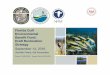 Florida Gulf Environmental Benefit Fund: Draft Restoration ... · Agenda Background Draft Restoration Strategy – Introduction – Process to Develop the Draft Restoration Strategy
