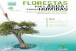 Florestas - Homepage | Ramsar florestas de turfa, etc. E que melhor momento senão este para analisarmos a importância das áreas húmidas para as pessoas, quer vivam perto destas