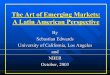 The Art of Emerging Markets: A Latin American .The Art of Emerging Markets: A Latin American Perspective