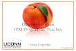 Description of an IPM Program for Peaches of an IPM Program... · Cu Fe . Weed Management •Compete for water & nutrients •Broadleaf weeds -> plant bugs, ... also called Valsa,