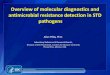 Overview of molecular diagnostics and antimicrobial ...· Overview of molecular diagnostics and antimicrobial