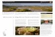 The Paisano - NPS.gov Homepage (U.S. National … in June 1944, Big Bend National Park preserves the most representative example of the Chihuahuan Desert ecosystem in the United States