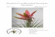 Sunshine Coast Bromeliad Society Inc. Newsletterscbs.org.au/wp-content/uploads/2018/05/May-June-2018-20-Pages-A4... · Orthophytum Roberto Menescal First - Greg Jones Acchmea chantinii