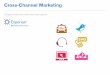 Cross-Channel Marketing - experian.co.uk · ross-channel marketing platform brings marketers the flexibility c o execute campaigns across multiple channels or focus solely on individual