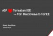 from Meecrowave to TomEE ASF Tomcat and EE · Servlet + JAX-RS + JSON-P/JSON-B + ... Meecrowave: new CDI paradigm (JPA ex) @ApplicationScoped public static class DataSourceConfig
