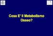 Cosa E’ Il Metabolismo - acar2006.org · • Ultrasonografia Ossea • Densitometria Ossea Diagnostica Strumentale dell’Osteoporosi Metodiche. Established Osteoporosis. Valutazione