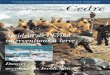 Accident de l’Erika : interventions à terre · Le naufrage du Ievoli Sun (en vignette) Bulletin d’Information du Cedre Environnement et techniques de lutte antipollution N°