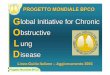PROGETTO MONDIALE BPCO Global Initiative for Chronic ... · Divulgazione via internet delle linee guida sulla BPCO - G. Cocco e M. Neri Ruolo dell'Educazione del Paziente ... (FIMMG)