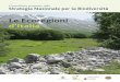 Le Ecoregioni d’Italia. Contributo tematico alla Strategia ... · Settori biogeografici Tipi bioclimatici Combinazioni caratteri-stiche di serie di vegeta - zione Nazionale e Regionale