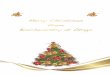 Merry Christmas from Biochemistry at Otagobiochemistry/documents/... · Sigurd Wilbanks and Sally McCormick were granted money from the Anderson Trust; Peter Dearden, ... Tamborindeguy,