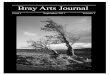 Bray Arts Journal 2011.pdf · Ronelle Tibaldi, Natalie Dwyer, Deirdre Fitzgerald, Elena Garcia, Mary Bushe and Ailiah Farragher, dressed in rich exotic robes