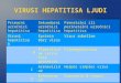VIRUSI HEPATITISA LJUDI - FARMACIJA | Sajt studenata … · PPT file · Web view2013-10-05 · VIRUSI HEPATITISA LJUDI Primarni uzročnici hepatitisa Sekundarni uzročnici hepatitisa