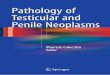 Pathology of Testicular and Penile Neoplasms · Roberto Salvioni Urology Unit , Fondazione IRCCS Istituto dei Tumori di Milano , Milan , Italy Raffaella Santi vision Di athological