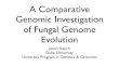 A Comparative Genomic Investigation of Fungal Genome Evolutionstajichlab.fungalgenomes.org/presentations/stajich_10Apr2006... · A Comparative Genomic Investigation of Fungal Genome