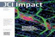 Impact - dm5migu4zj3pb.cloudfront.netdm5migu4zj3pb.cloudfront.net/impact/pdf/12/jci_impact_2013_12.pdfImpact December 2013 Contact the JCi The Journal of Clinical Investigation 2015