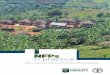 NFP in Practice Inglese - Food and Agriculture Organization · in practice Ways to improve the implementation of national forest programmes. M ore than a decade ago, countries formally