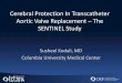 Cerebral Protection In Transcatheter Aortic Valve ... IDE Kodali TCT... · Cerebral Protection In Transcatheter Aortic Valve Replacement –The ... embolic protection device with