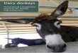 Dairy donkeys · • Carlo Bibbiani – Dipartimento di Scienze Veterinarie, Università di Pisa (Italy) • Christian Garzo – HD azienda agricola (Diano d’Alba, CN, Italy) •