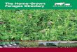 The Home-Grown Forages Directory - Home - AHDB Beef & Lamb · The Home-Grown Forages Directory. The information in this booklet has been compiled by EBLEX Livestock Scientists Dr