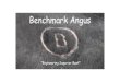 Benchmark Angus - AlbertaFILE/benchmark-innovovation.pdf · program “Benchmark Beef Inc.” ... feed allows us to learn more and gain information on our genetics To take the calves
