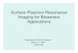 Surface Plasmon Resonance Imaging for Biosensor Applicationsweb.uconn.edu/rusling/michelle.pdf · Surface Plasmon Resonance Imaging for Biosensor Applications Presented by Michelle