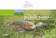 Species and Biotope Conservation The Great Bustard · the stronghold of the Great Bustard in Germany. That is why the bird is also known as the “Mär-kische Strauß” or Brandenburg