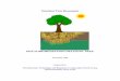 Phytoremediation Decision Tree - CLU-IN · Decision Tree Document PHYTOREMEDIATION DECISION TREE November 1999 Prepared by The Interstate Technology and Regulatory Cooperation Work