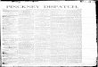 PINCKNEY DISPATCH. - pinckneylocalhistory.orgpinckneylocalhistory.org/Dispatch/1884-11-27.pdf · and hoarseness, and it relieved me at once. -And, sir, 1 believe it to be a valuable