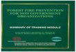FOREST FIRE PREVENTION - International Tropical Timber ... 90/pd 89-90 (F) e.pdf · forest fire prevention as guidance in community development. 2. ... -Ice Breaking -Introduction