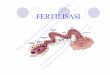 FERTIL IS ASI - labrepter.files.wordpress.com · Pembentukan sel tunggal (ZYGOTE) FERTILISASI adalah PROSES GANDA : 1. Aspek EMBRIOLOG IK • Keterlibatan spermato z oa dalam mengaktifkan