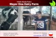 A Nobin Udyokta Project Mayer Doa Dairy Farmsocialbusinesspedia.com/uploads/design_lab/project/...Verified By: Shaiful Islam Madaripur Unit, Madaripur Anchal-6 GRAMEEN TRUST GT Social